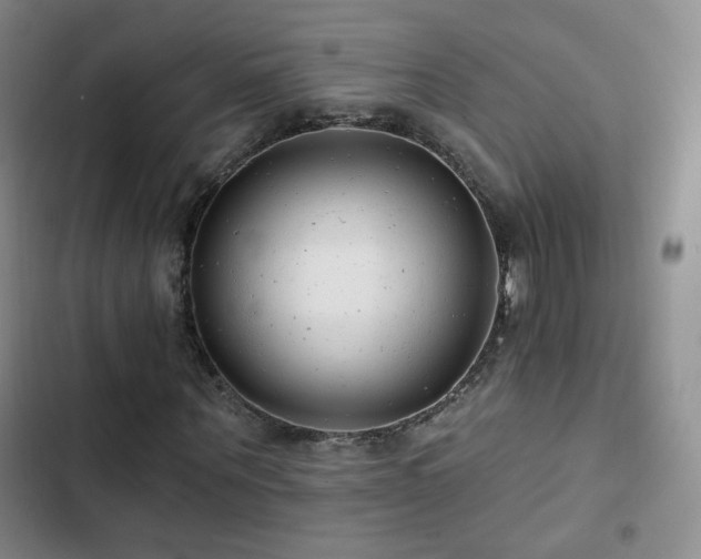 X0000103150867200808221328