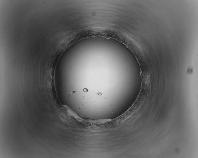 X0000103150868200808221328