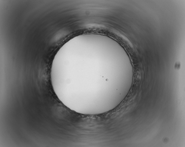 X0000103150869200808221328