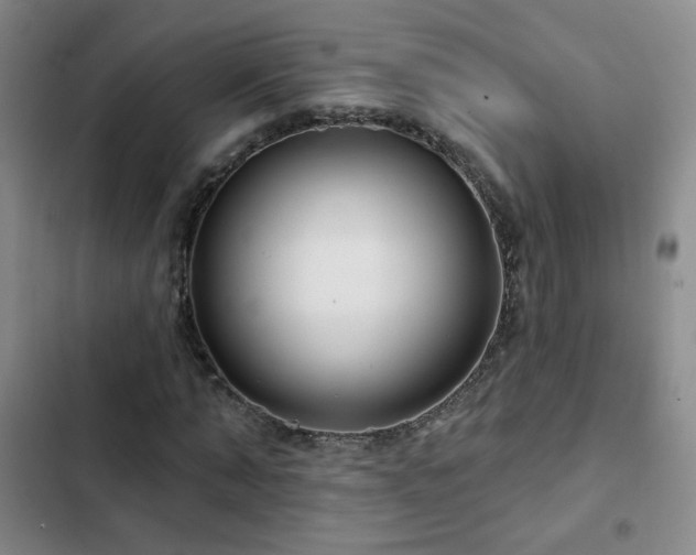 X0000103150870200808221328