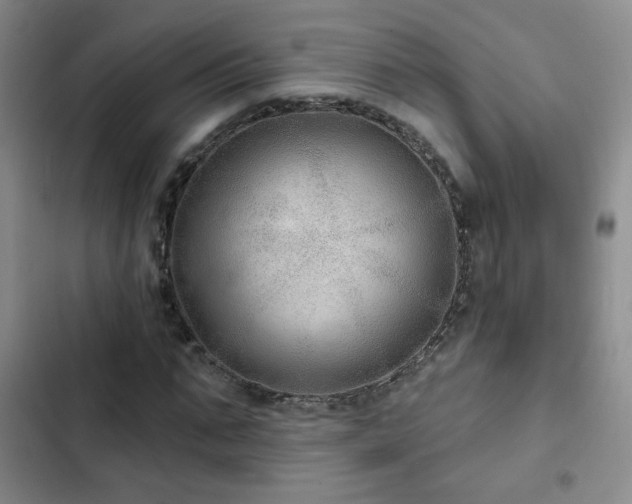 X0000103150871200808221328