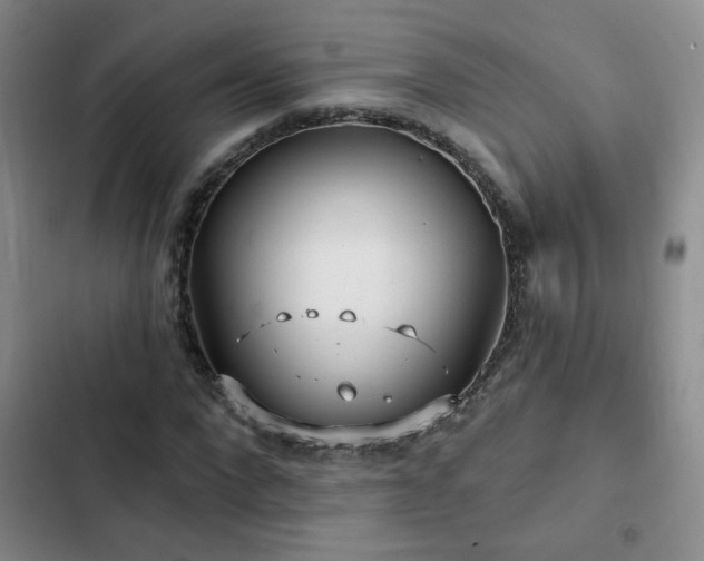 X0000103150872200808221328