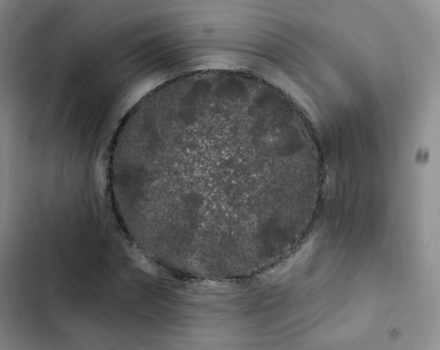 X0000103150874200808221328