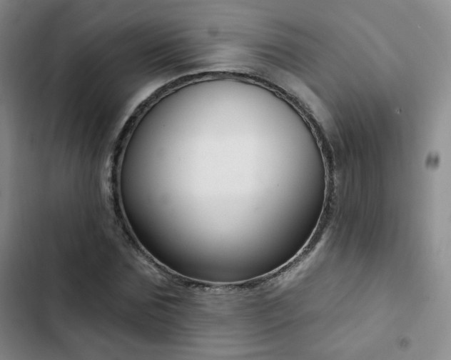 X0000103150875200808221328