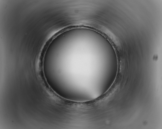 X0000103150876200808221328