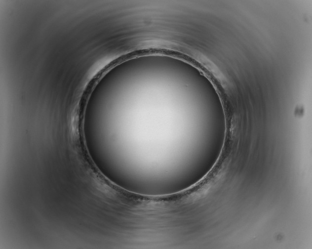 X0000103150877200808221328