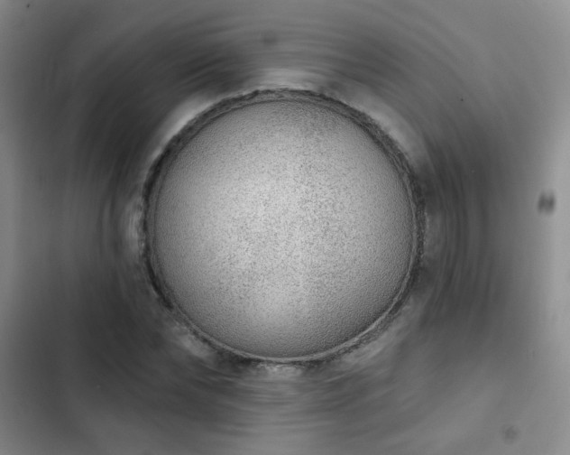 X0000103150878200808221328