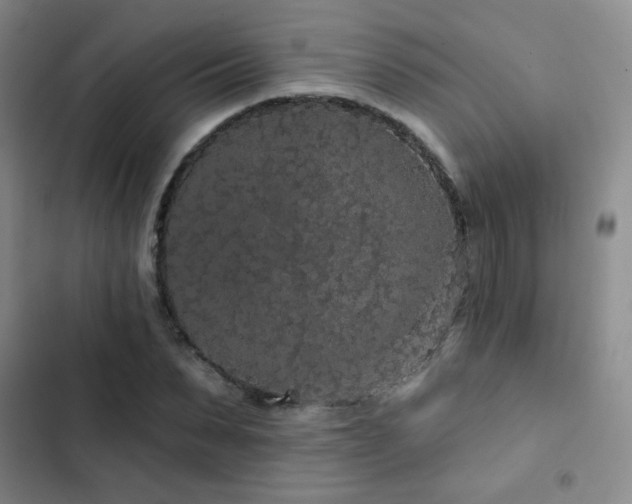 X0000103150879200808221328