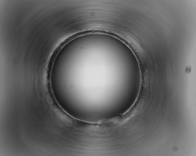 X0000103150880200808221328