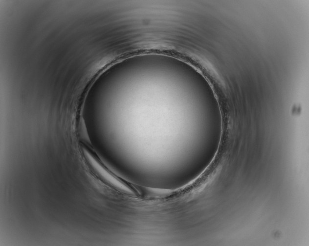 X0000103150881200808221328