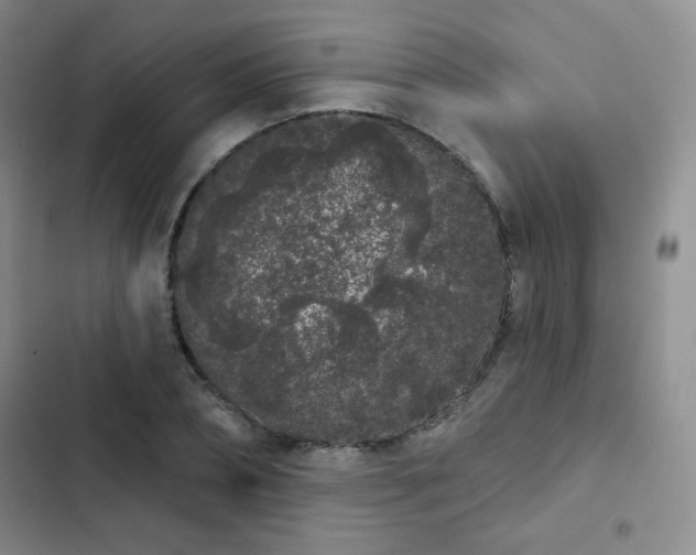 X0000103150882200808221328