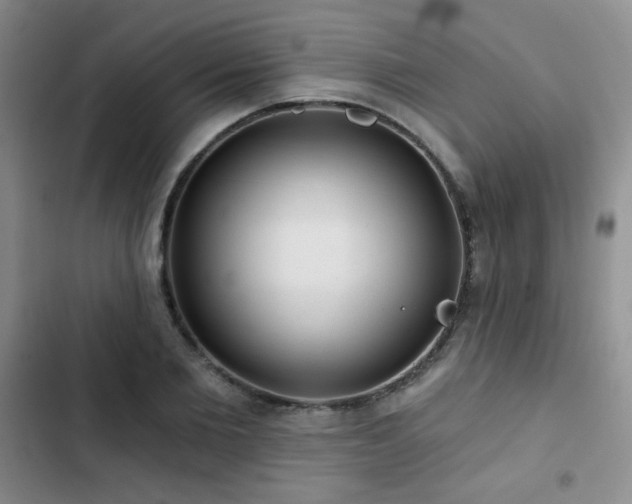 X0000103150885200808221328