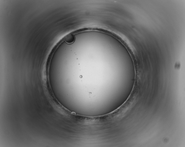 X0000103150887200808221328