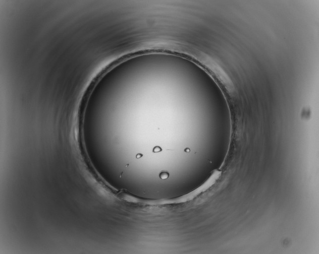 X0000103150888200808221328