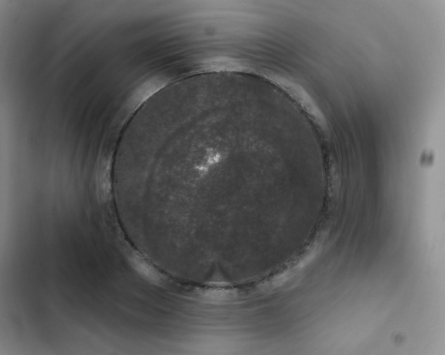 X0000103150889200808221328