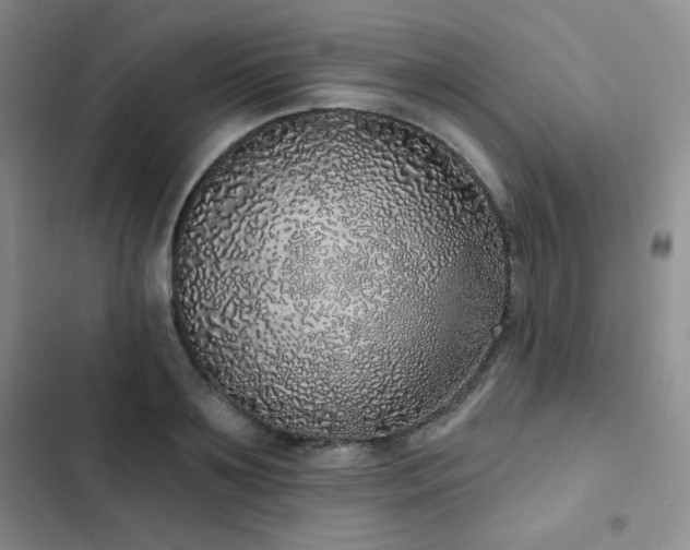 X0000103150891200808221328