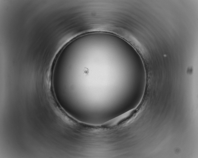 X0000103150892200808221328