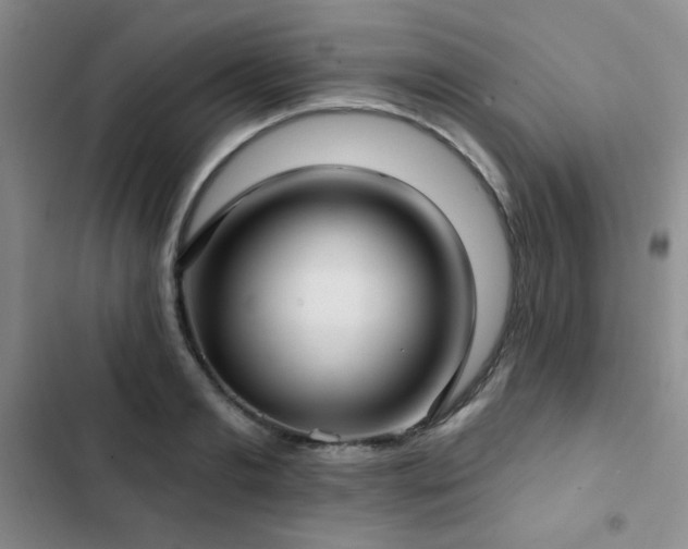 X0000103150893200808221328