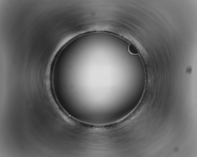 X0000103150894200808221328