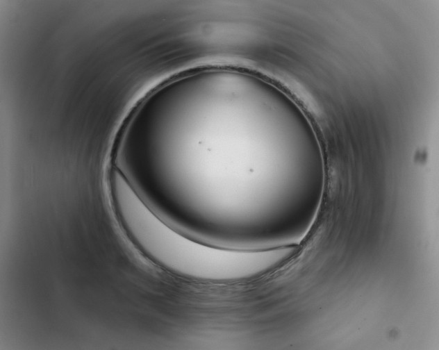 X0000103150895200808221328