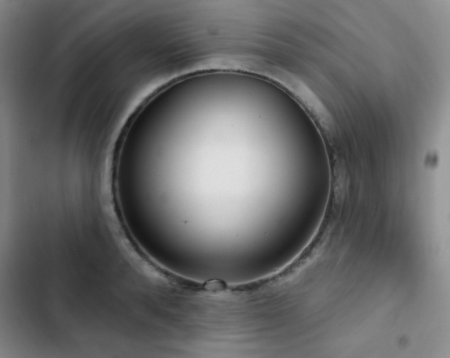 X0000103150896200808221328