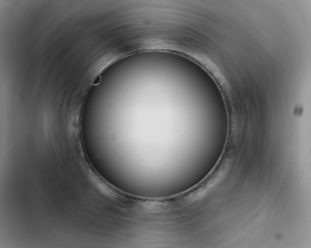 X0000103150897200808221328