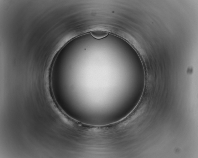X0000103150898200808221328