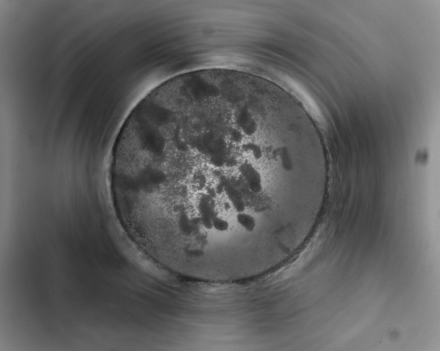 X0000103150899200808221328