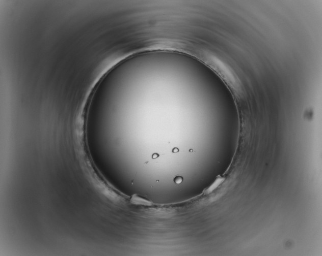 X0000103150900200808221328