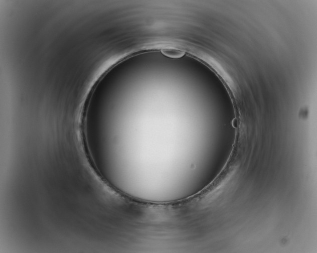 X0000103150901200808221328