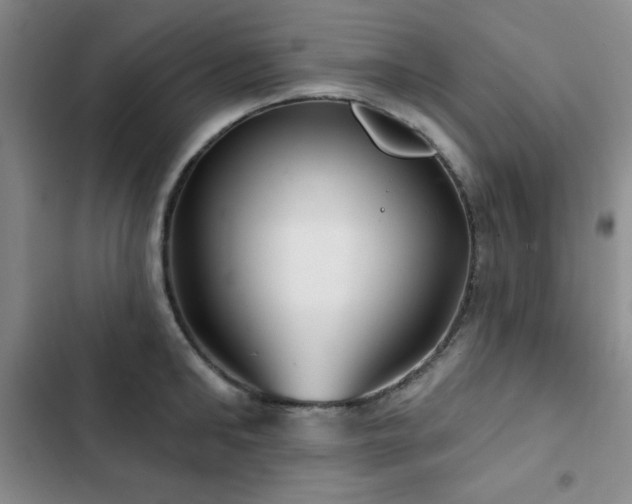 X0000103150902200808221328