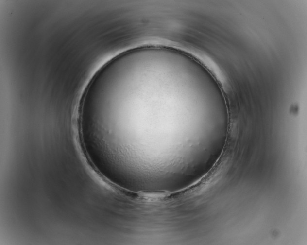 X0000103150903200808221328