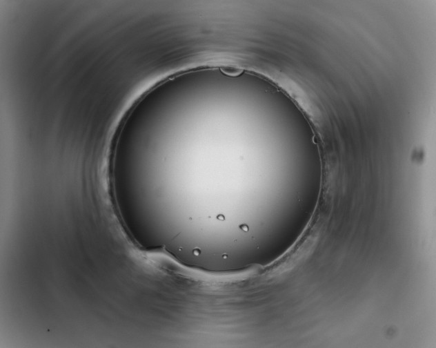X0000103150904200808221328