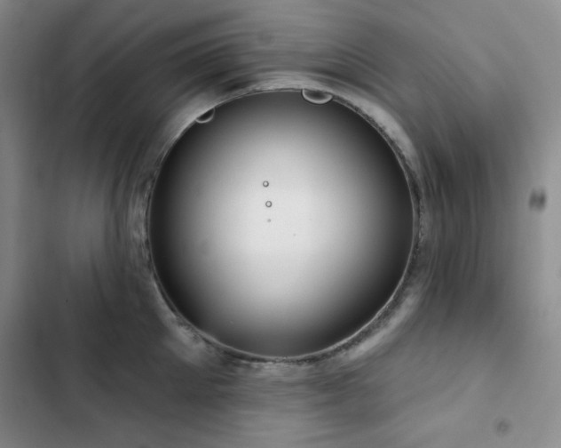 X0000103150905200808221328