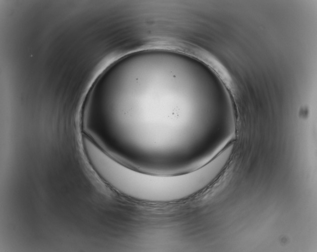 X0000103150907200808221328