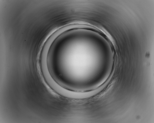 X0000103150909200808221328
