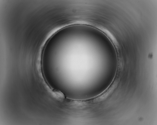 X0000103150910200808221328