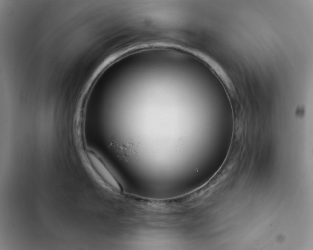 X0000103150911200808221328