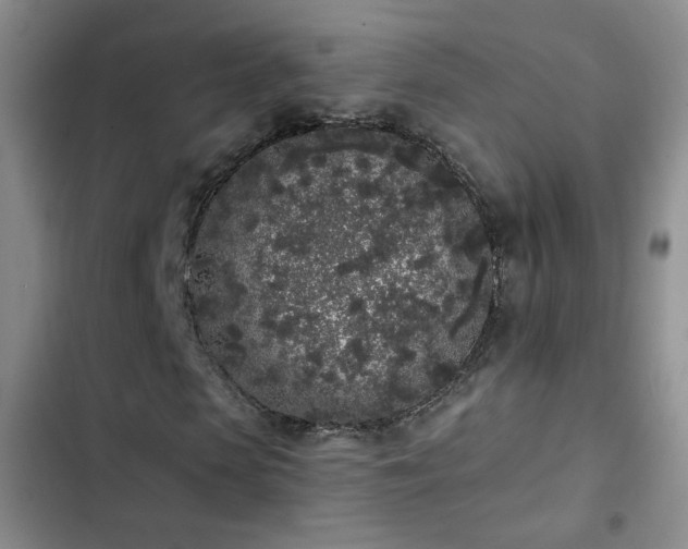 X0000103150913200808221327
