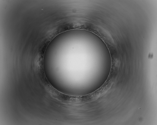 X0000103150914200808221327