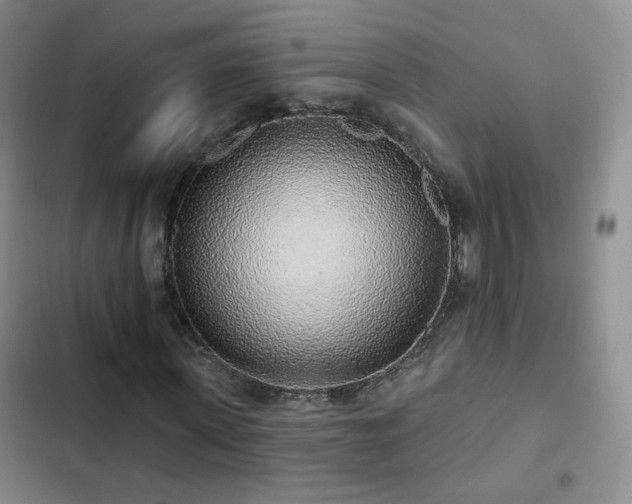 X0000103150915200808221327