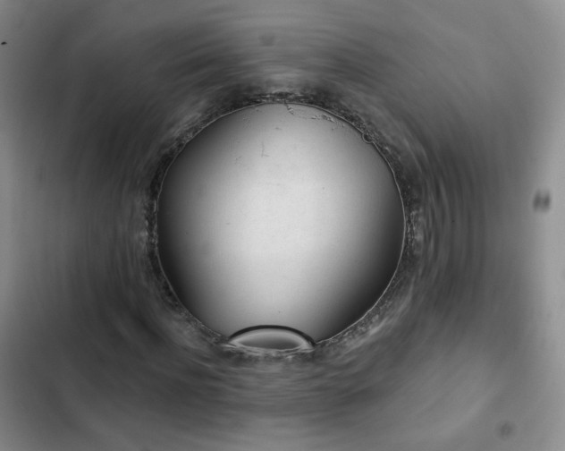 X0000103150916200808221327