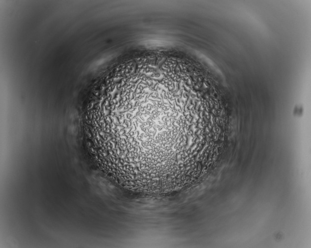 X0000103150917200808221327