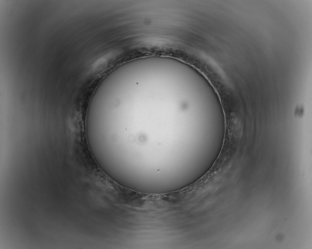 X0000103150918200808221327