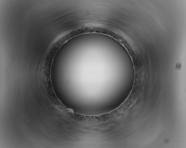X0000103150919200808221327