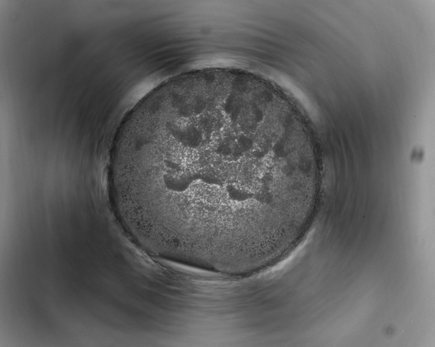 X0000103150921200808221327