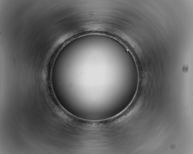 X0000103150922200808221327