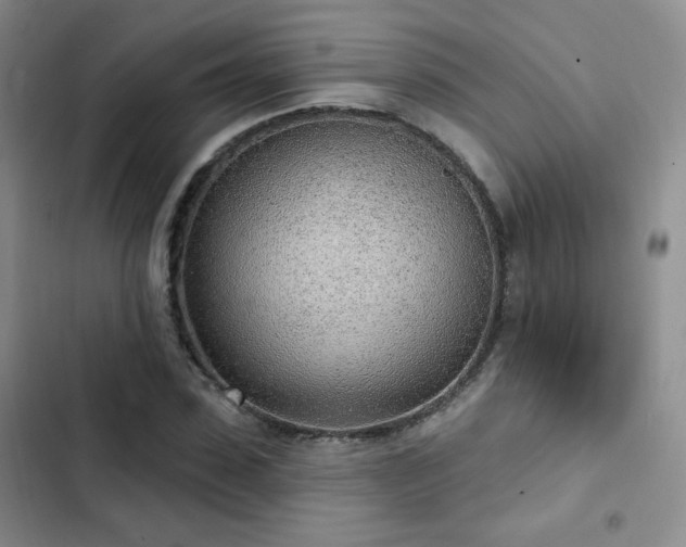 X0000103150923200808221327