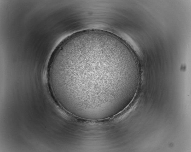 X0000103150924200808221327