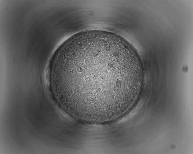 X0000103150925200808221327